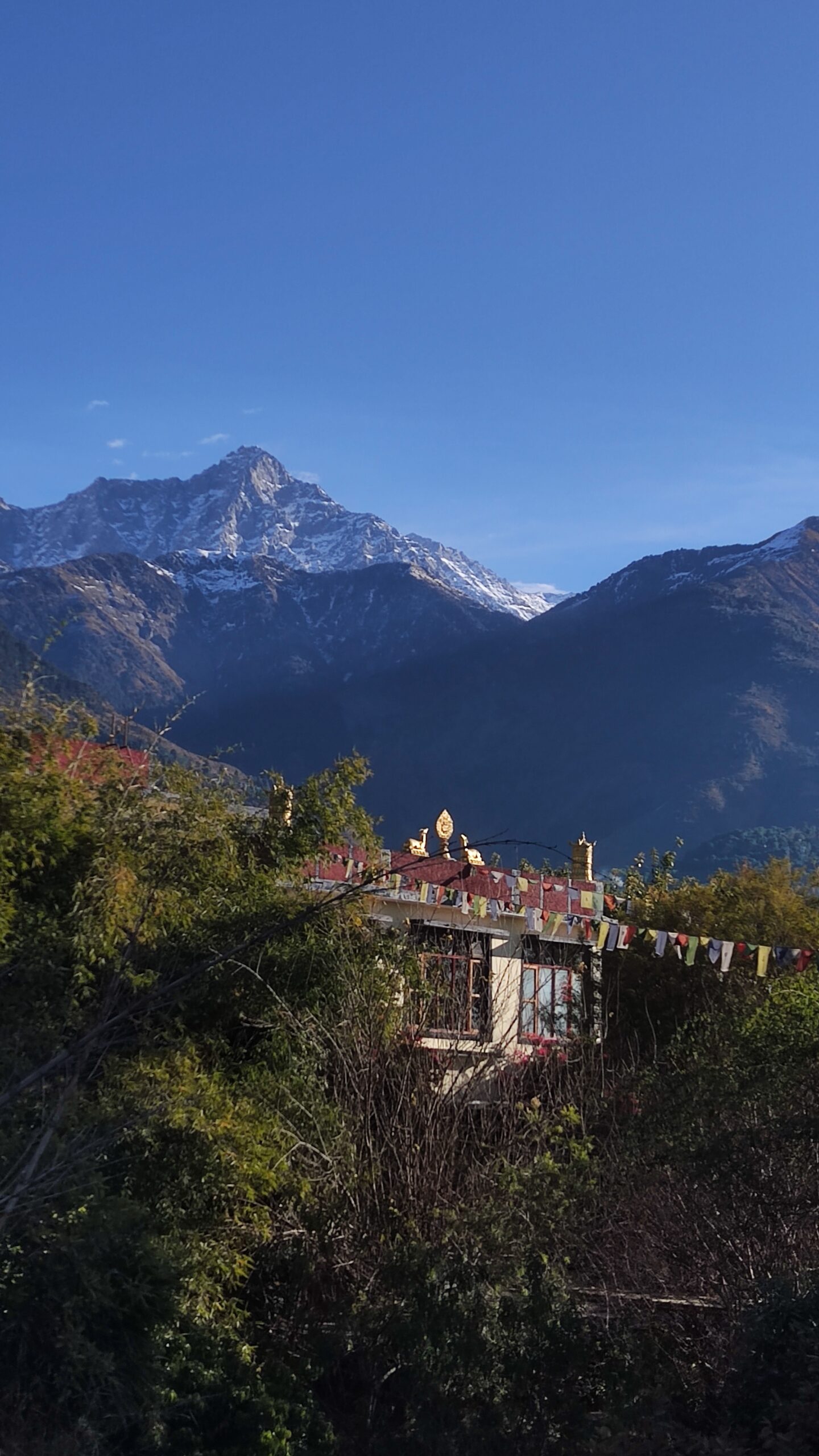 Thosamling Nunnery Dharamsala